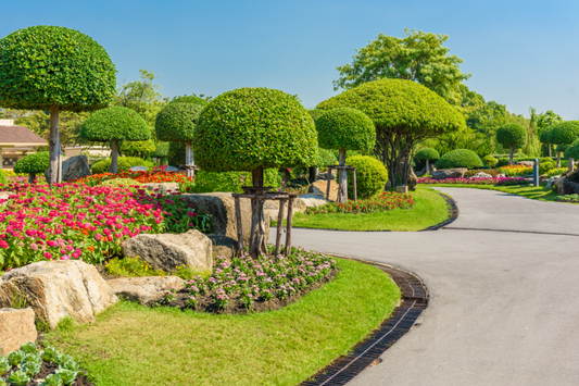 Étude de Cas : Le Jardinier Paysagiste Digital - Cultivez Votre Patrimoine Numérique