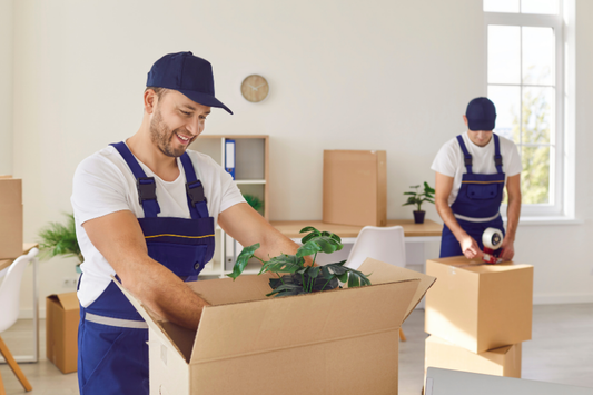 Étude de Cas : L'Entreprise de Déménagement Digitale - Facilitez Votre Expansion Numérique